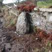Digital photograph of panel to north-west, from Scotland's Rock Art Project, Brahan House, Highland