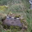 Digital photograph of rock art panel context, Scotland's Rock Art Project, Broubster, Highland