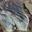 Digital photograph of rock art panel context, Scotland's Rock Art Project, Clach Bhan, Highland