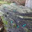 Digital photograph of rock art panel context, Scotland's Rock Art Project, Clach Bhan, Highland