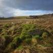 Digital photograph of panel to north-west, from Scotland's Rock Art Project, Cnoc an Teampuill 1, Highland