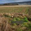 Digital photograph of panel to south, from Scotland's Rock Art Project, Cnoc an Teampuill 1, Highland