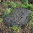 Digital photograph of panel before cleaning, from Scotland's Rock Art Project, Cnoc an Teampuill 1, Highland