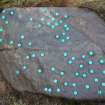 Digital photograph of rock art panel context, Scotland's Rock Art Project, Cnoc Ravoch, Highland