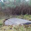 Digital photograph of panel to south, from Scotland's Rock Art Project, Cnoc Ravoch, Highland