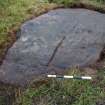 Digital photograph of panel to east, from Scotland's Rock Art Project, Cnoc Ravoch, Highland