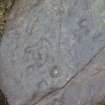 Digital photograph of close ups of motifs, Scotland's Rock Art Project, Cnoc Ravoch, Highland