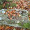 Digital photograph of panel before cleaning, Scotland's Rock Art Project, Coul Woods, Highland