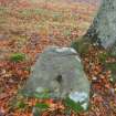 Digital photograph of panel to south, Scotland's Rock Art Project, Coul Woods, Highland