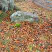 Digital photograph of panel to west, Scotland's Rock Art Project, Coul Woods, Highland