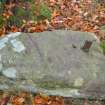 Digital photograph of panel, Scotland's Rock Art Project, Coul Woods, Highland