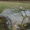 Digital photograph of panel before cleaning, from Scotland's Rock Art Project, Creag Liath, Highland