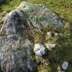 Digital photograph of rock art panel context, Scotland's Rock Art Project, Creag Liath, Highland