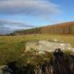 Digital photograph of panel to north, from Scotland's Rock Art Project, Creag Liath, Highland