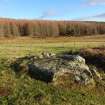 Digital photograph of panel to east, from Scotland's Rock Art Project, Creag Liath, Highland