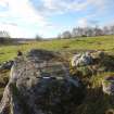 Digital photograph of panel to west, from Scotland's Rock Art Project, Creag Liath, Highland