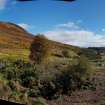 Digital photograph of panorama, from Scotland's Rock Art Project, Dalreoich 2, Highland
