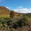 Digital photograph of panorama, from Scotland's Rock Art Project, Dalreoich 2, Highland