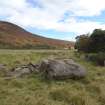 Digital photograph of panel to east, from Scotland's Rock Art Project, Dalreoich 3, Highland