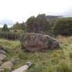 Digital photograph of panel to south, from Scotland's Rock Art Project, Dalreoich 3, Highland