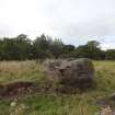 Digital photograph of panel to west, from Scotland's Rock Art Project, Dalreoich 3, Highland