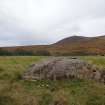 Digital photograph of panel to north, from Scotland's Rock Art Project, Dalreoich 3, Highland