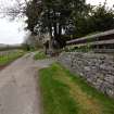 Digital photograph of rock art panel context, Scotland's Rock Art Project, Dochmaluag, Highland