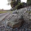 Digital photograph of rock art panel context, Scotland's Rock Art Project, Dochmaluag, Highland