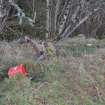 Digital photograph of panel in context with scale, Scotland's Rock Art Project, Dochnaclear 2, Highland