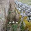 Digital photograph of rock art panel context, Scotland's Rock Art Project, Druim Mor 2, Highland