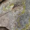 Digital photograph of close ups of motifs, Scotland's Rock Art Project, Druim Mor 8, Highland