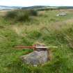 Digital photograph of panel to south, from Scotland's Rock Art Project, Druim Mor 8, Highland