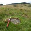 Digital photograph of panel to west, Scotland's Rock Art Project, Druim Mor 8, Highland
