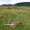 Digital photograph of panel to north, from Scotland's Rock Art Project, Druim Mor 8, Highland