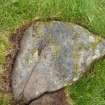 Digital photograph of panel, Scotland's Rock Art Project, Druim Mor 8, Highland