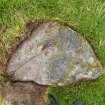 Digital photograph of perpendicular to carved surface(s), Scotland's Rock Art Project, Druim Mor 8, Highland