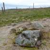 Digital photograph of rock art panel context, Scotland's Rock Art Project, Druim Mor 10, Highland
