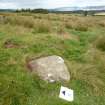 Digital photograph of panel to east, from Scotland's Rock Art Project, Druim Mor 21, Highland