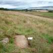 Digital photograph of rock art panel context, Scotland's Rock Art Project, Druim Mor 23, Highland