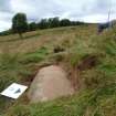 Digital photograph of panel to west, from Scotland's Rock Art Project, Druim Mor 23, Highland