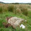 Digital photograph of panel to east, from Scotland's Rock Art Project, Druim Mor 24, Highland