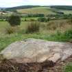 Digital photograph of panel to south, from Scotland's Rock Art Project, Druim Mor 24, Highland