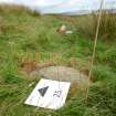 Digital photograph of panel to east, from Scotland's Rock Art Project, Druim Mor 25, Highland