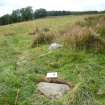 Digital photograph of panel to west, from Scotland's Rock Art Project, Druim Mor 25, Highland