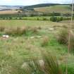 Digital photograph of panel to south, from Scotland's Rock Art Project, Druim Mor 26, Highland