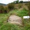 Digital photograph of panel to west, from Scotland's Rock Art Project, Druim Mor 26, Highland