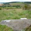 Digital photograph of panel to south, from Scotland's Rock Art Project, Druim Mor 27, Highland