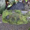 Digital photograph of rock art panel context, Scotland's Rock Art Project, Evanton Garden 2, Highland
