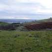 Digital photograph of rock art panel context, Scotland's Rock Art Project, Fleuchlady, Highland