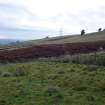 Digital photograph of rock art panel context, Scotland's Rock Art Project, Fleuchlady, Highland